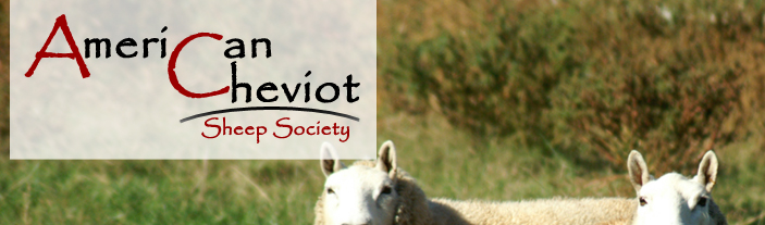 American Cheviot Sheep Soceity
