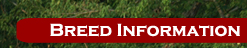 Breed Information