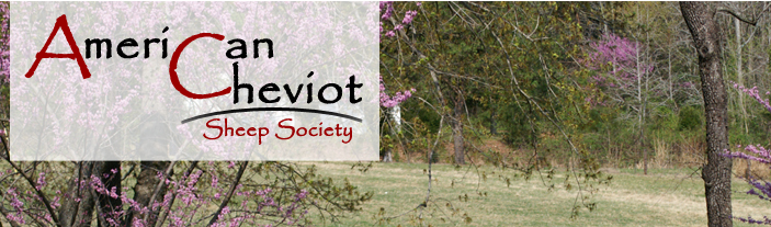 American Cheviot Sheep Soceity