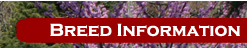 Breed Information