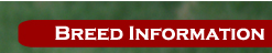 Breed Information